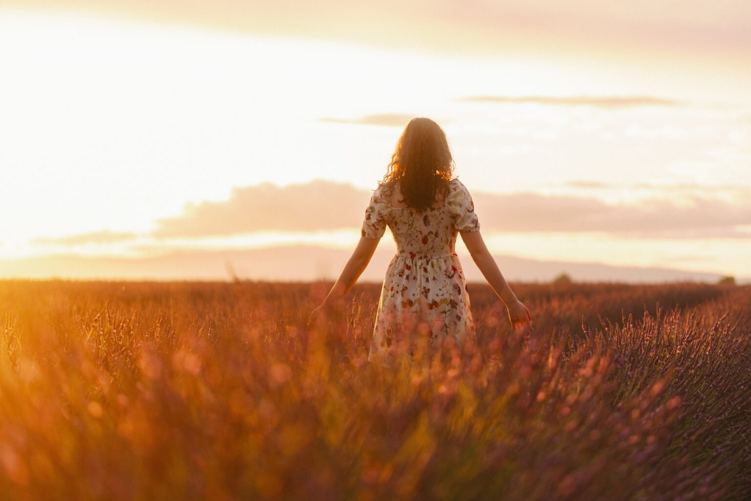 Field of Flowers